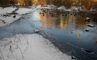 Effective Ways to Manage Flooding in Cold Weather