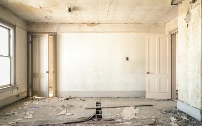 How to Prepare Your Business for a Commercial Renovation or Build-Out